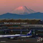 Đến Nhật, chọn Narita hay Haneda?